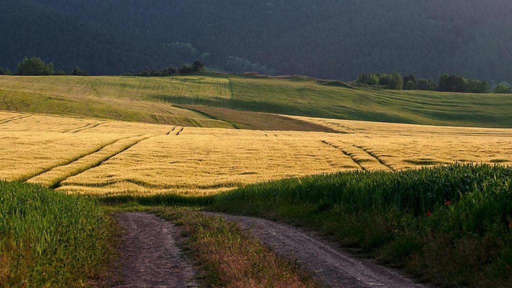 Penzion Mlynarov Dvor Dubrava Bagian luar foto