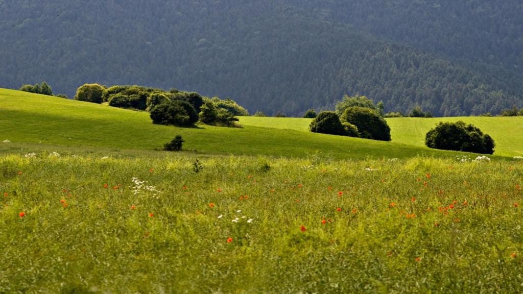 Penzion Mlynarov Dvor Dubrava Bagian luar foto